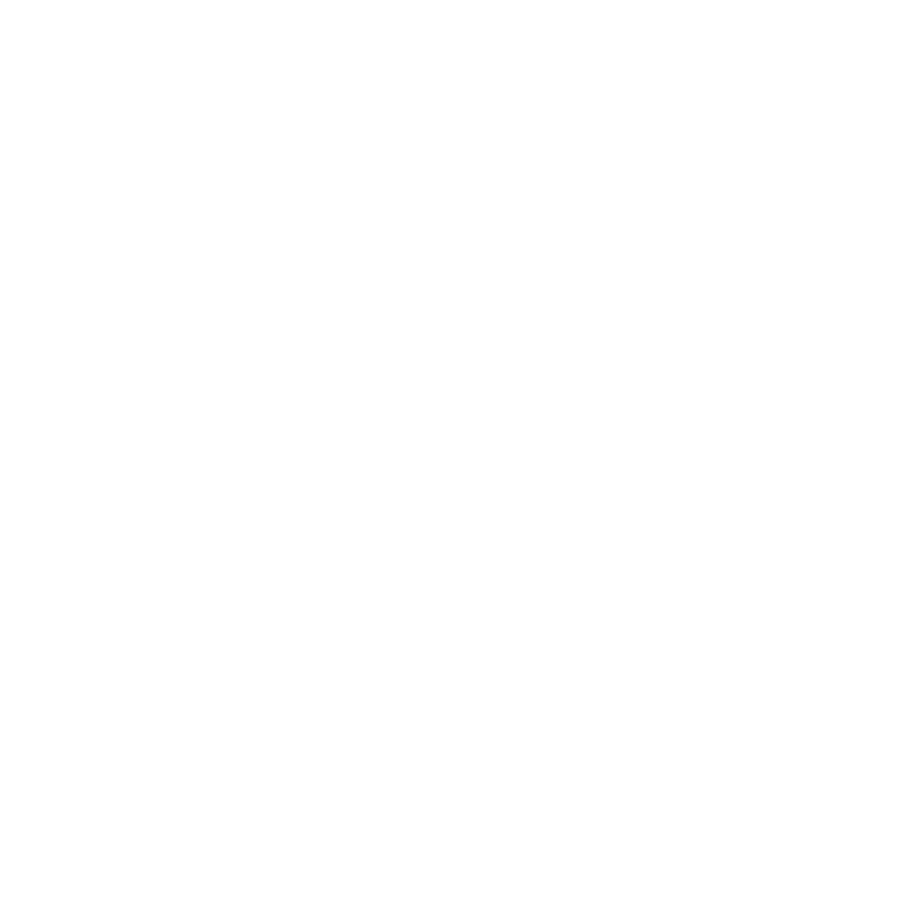 Brand Academy